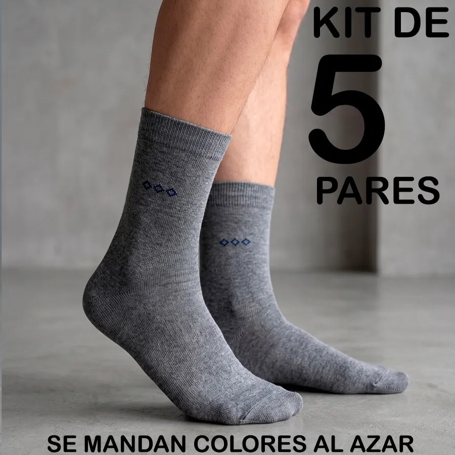 AT1008 EDICION 11895